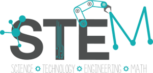 Stem Essay